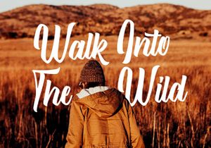 After Breaking - Modern Script Typeface
