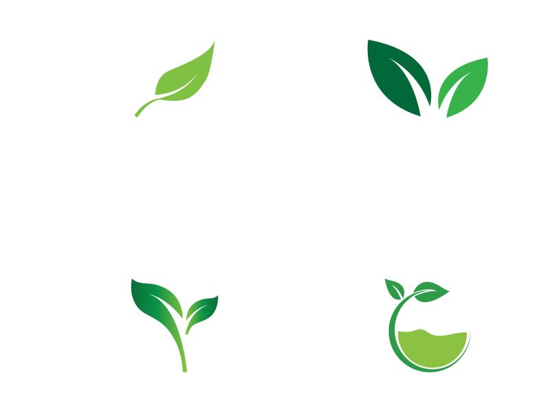 Natural green leaf logo