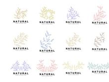 Simple Botanical Leaf and Flower Logo, Vector Natural Line Style, Decoration Design, Banner, Flyer, Wedding Invitation, and Product Branding