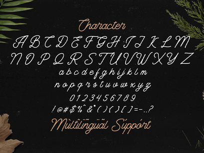 The Banten - Monoline Script Font