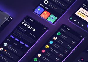 Payou digital wallet app Dark UI kit