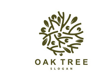 Oak Tree Logo Minimalist Design, Vector Tree Nature Plant