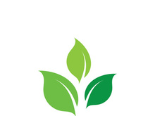 leaf logo green ecology nature element vector image