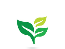 Logos of green tree leaf ecology nature element vector