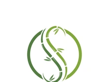 Bamboo Logo Template vector icon