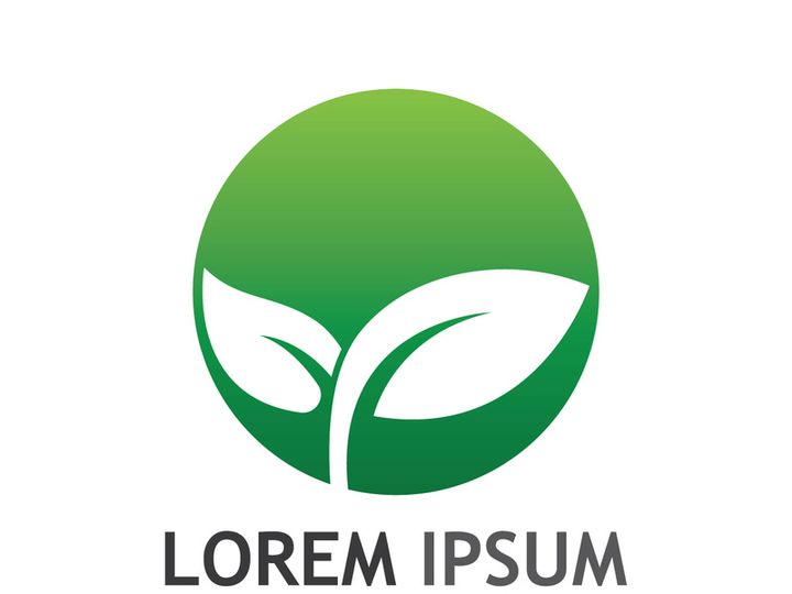 Natural green leaf logo design.