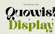 Quowist Display - Modern Unique Serif Display Font