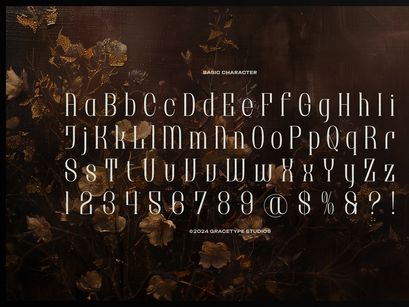 Brunelis Noctelle | Display Serif Font