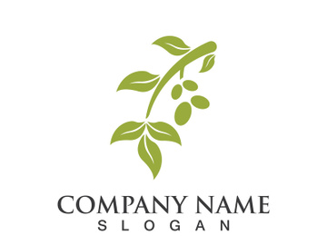 Extra virgin olive oil logo icon design vector illustration preview picture
