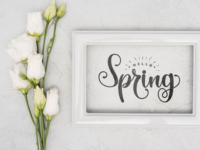 The Spring
