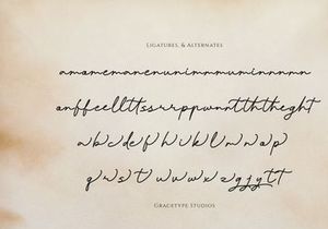Pafilona | Monoline Script