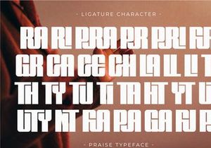 Praise - Modern Sans Serif