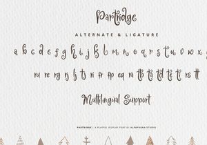 Partridge - Playful Font