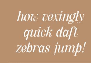 Quinty a Luxury Serif Font Family