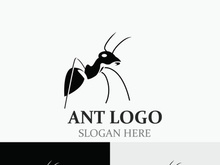 Ant logo design silhouette. Isolated animal ants on background design template vector
