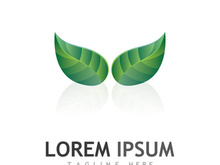 Natural green leaf logo design.