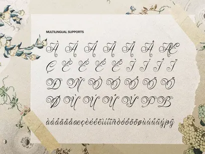 Rustaliya | Classic Elegant Script