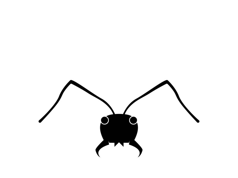 ant head logo