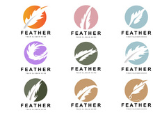 Feather Logo, Animal Wing Design, Vector Icon Template Simple