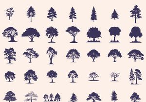 Silhouettes Trees Set, Pine Tree fir pruce cedar white patch alder elm birch ash cypress beech palm tree.