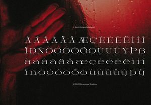 Prostetrix | Serif Typeface
