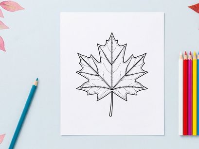 Close-up of a detailed maple leaf. Natural autumn foliage in vibrant colors.