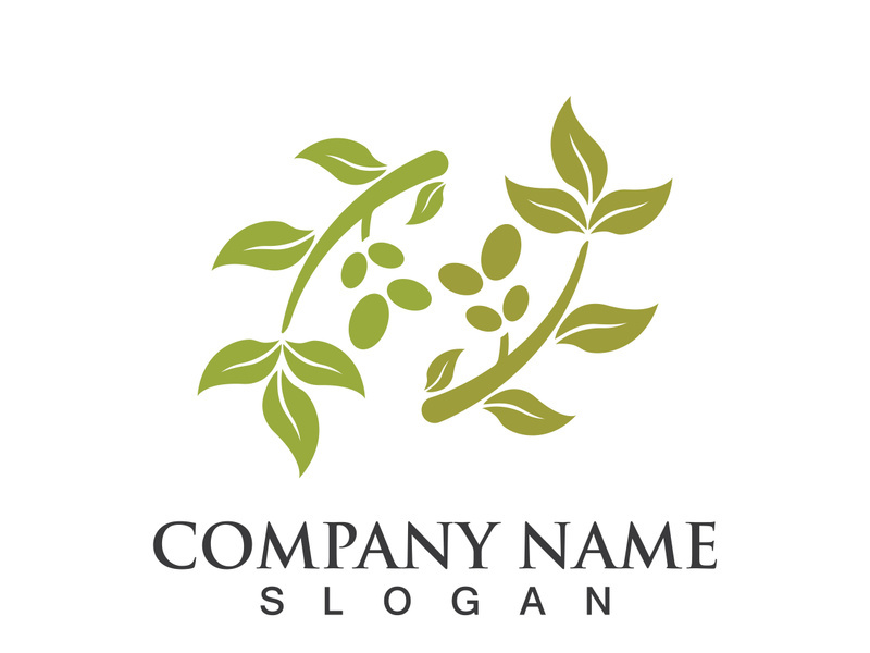 Extra virgin olive oil logo icon design vector illustration