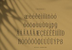 Reftoliya | Modern Serif Font