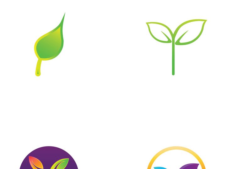 Colorful natural leaf logo design.