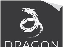 Dragon logo art illustration