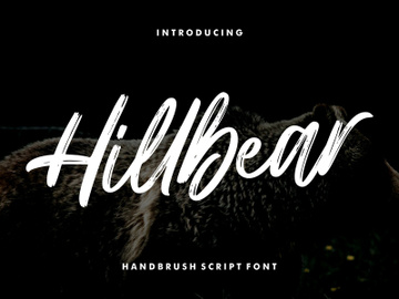 Hillbear - Handbrush Script Font preview picture