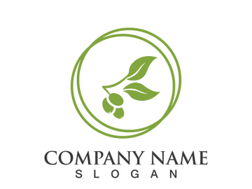Extra virgin olive oil logo icon design vector illustration preview picture