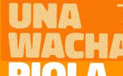Don José - Typeface (Free)