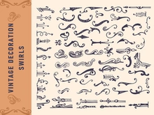 Decorative swirls collection, Vintage elements decoration frame.