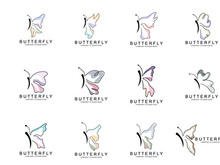 Butterfly Logo Design, Beautiful Flying Animal
