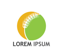 Organic wheat farm logo template.