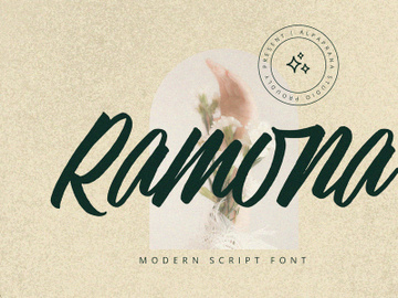 Ramona - Modern Script Font preview picture