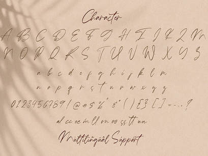 Ballerina - Signature Script Font
