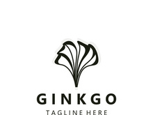 Ginkgo leaf biloba logo nature. Healthy ingredient that is used in medicine for disease treatment with line art style design