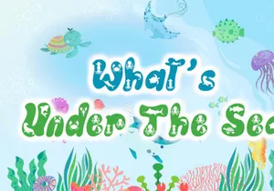 Ocean Animal
