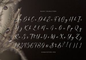 Dialmeray | Elegant Calligraphy Script