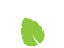 Leaf logo vector icon design template