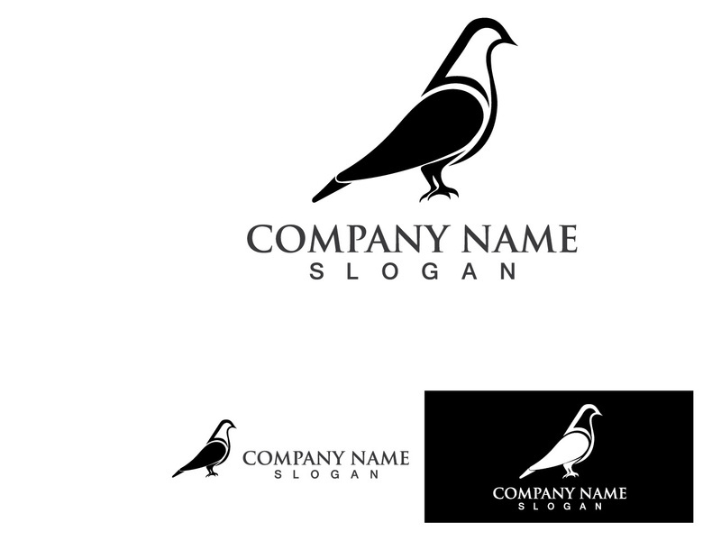 Pigeon Bird Logo Vector Icon