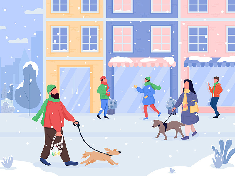 Walking dog in winter flat color vector illustration