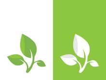Logos of green tree leaf ecology nature element vector