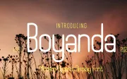 Boyanda - Modern Organic Display Font