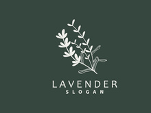 Lavender Logo Elegant Purple Flower