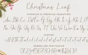 Christmas Leaf