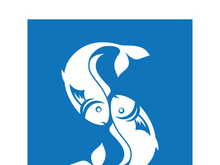 Fish logo template. Creative vector symbol