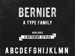 Bernier Free Type Family preview picture